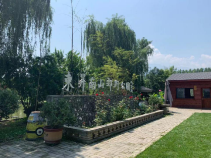 说走就走的团建，工作放松两不误！企鹅智媒七月团建活动！